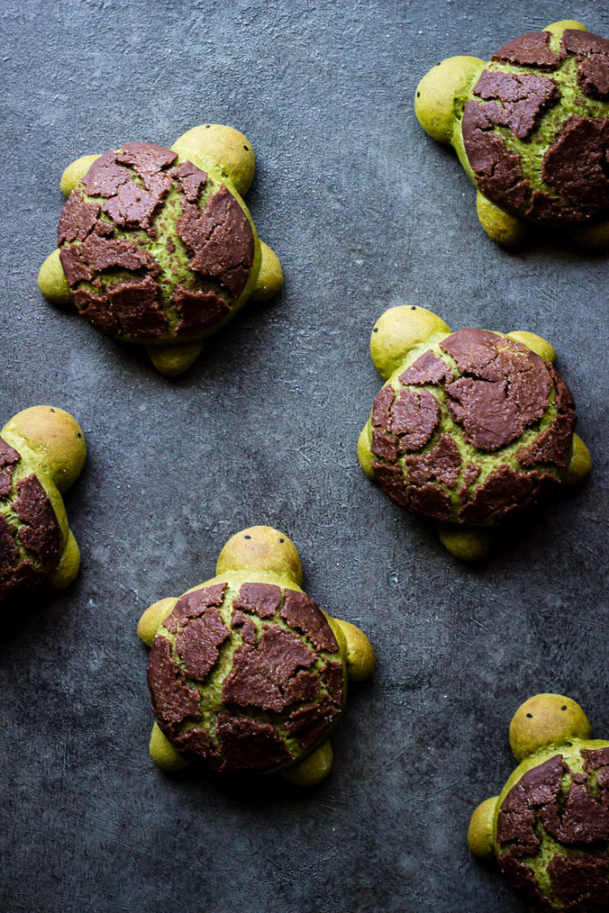 MATCHA MILK BREAD TURTLES - ful-filled