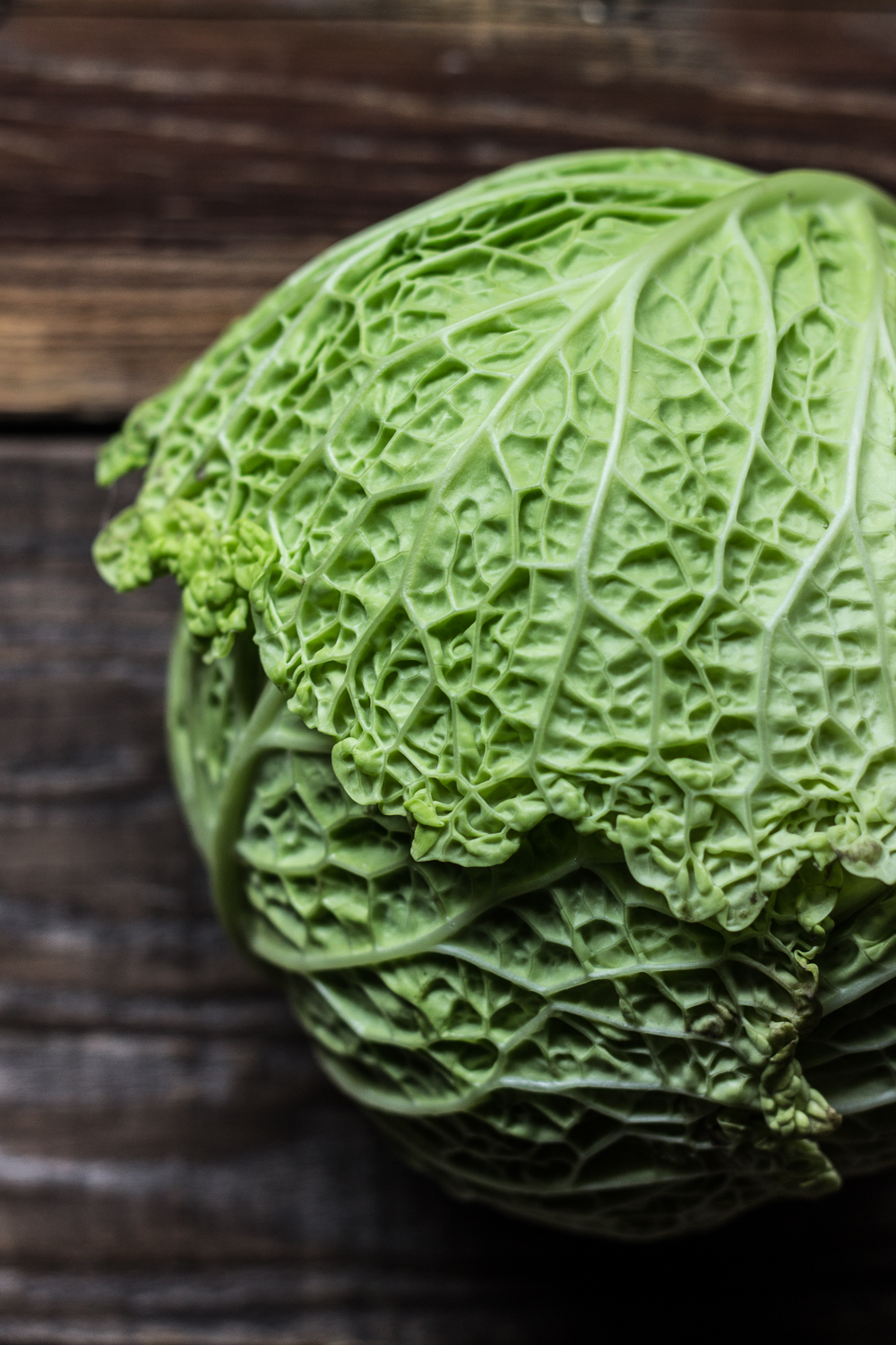 lahanodolmades - Greek cabbage rolls