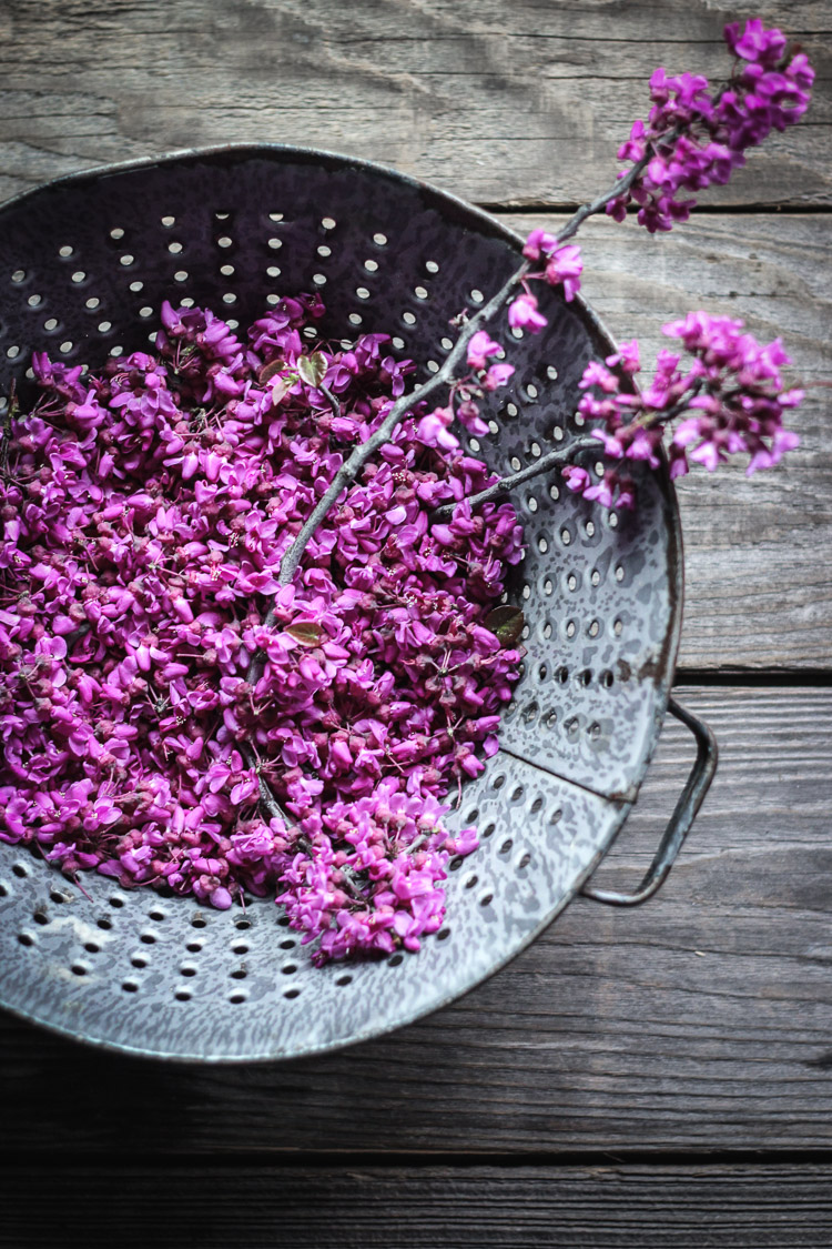 redbud & lemon cornmeal loaf cake