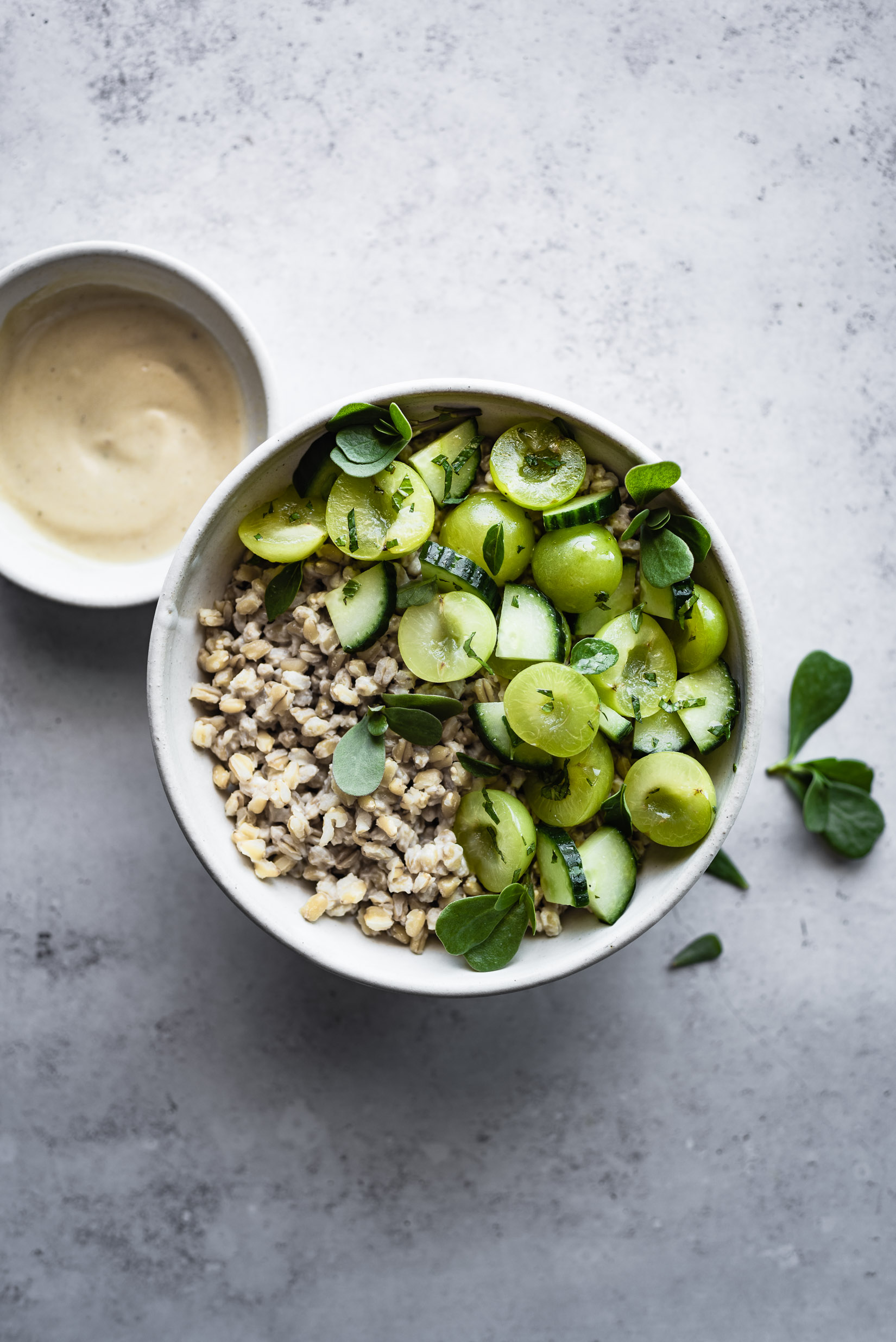 green plum + cucumber + wheat berry salad