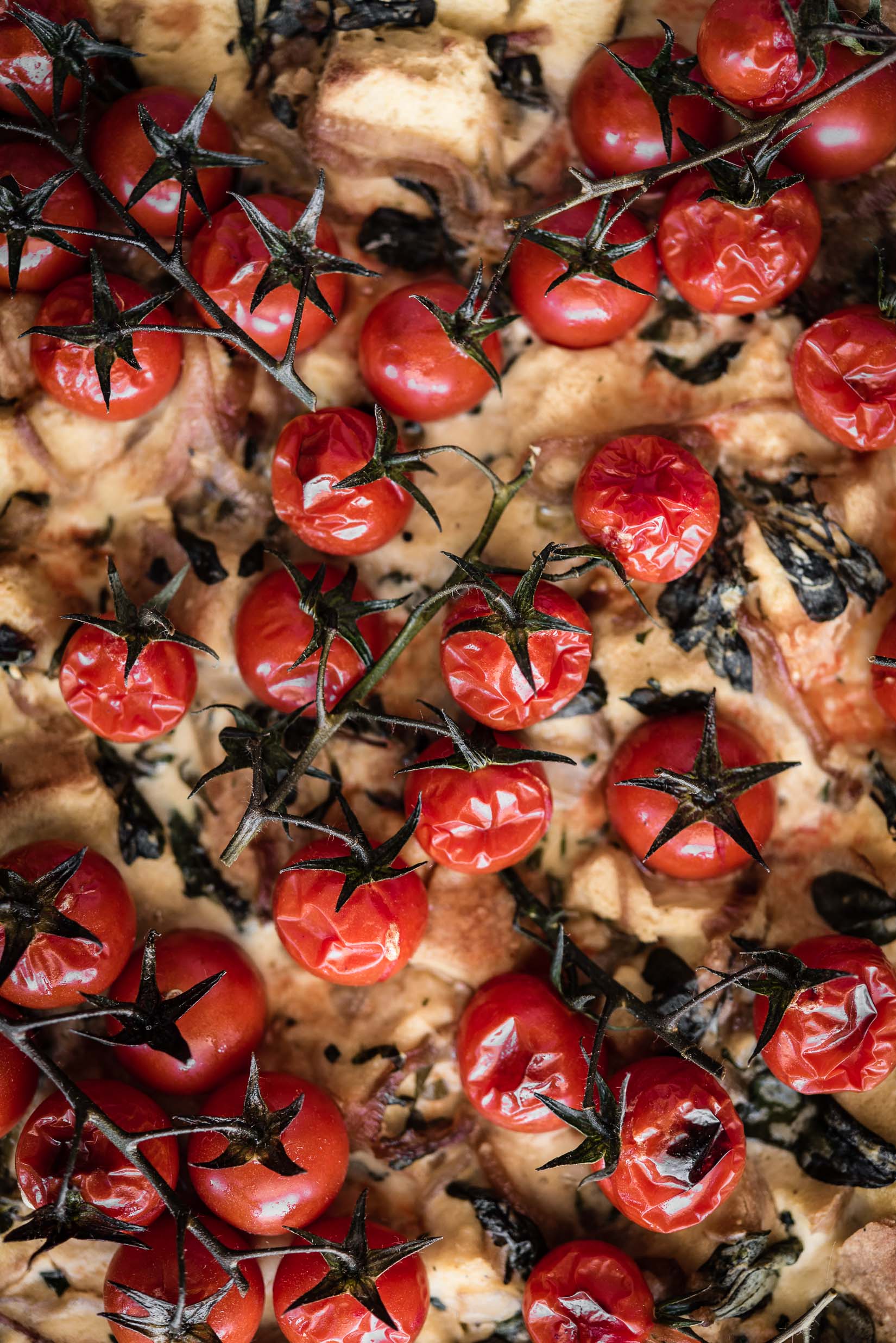vegan summer strata