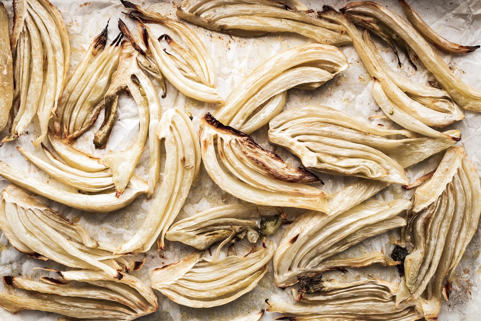 roasted fennel