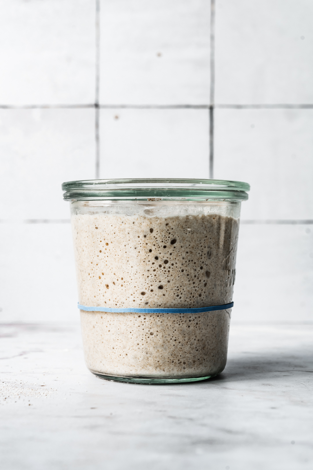 Basic Sourdough Starter Guide