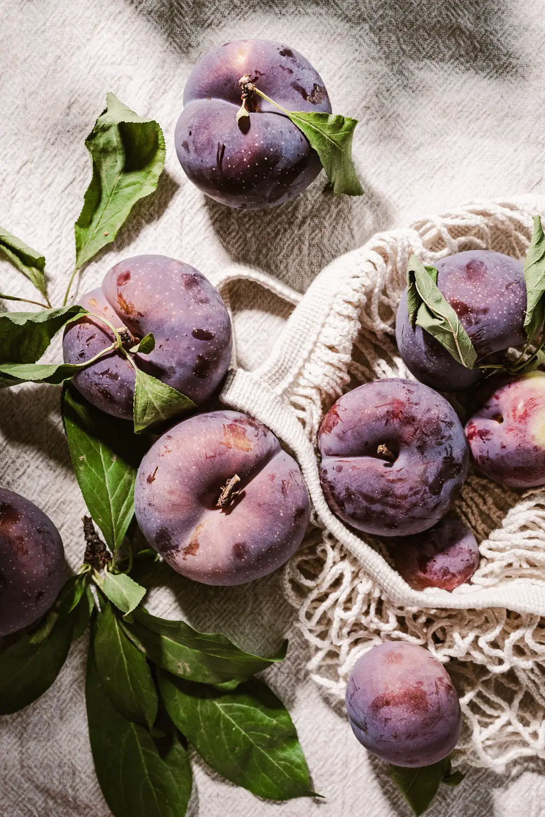 fresh-picked plums | photography by bella karragiannidis - ful-filled.com