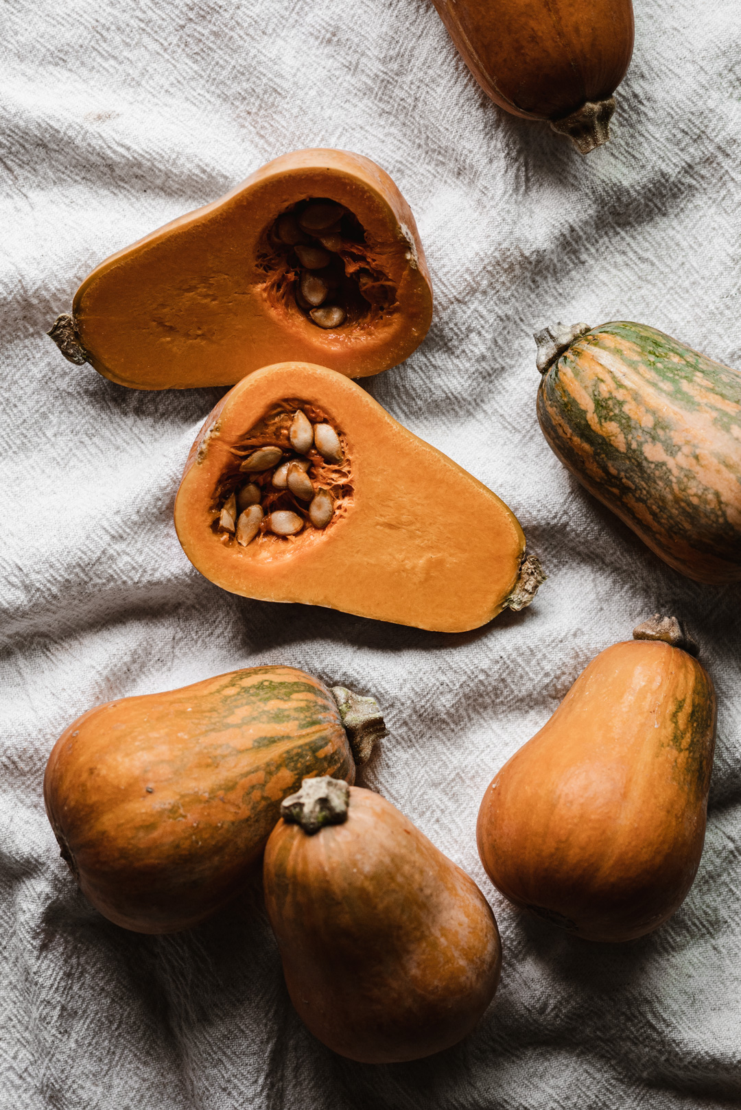 HONEYNUT SQUASH