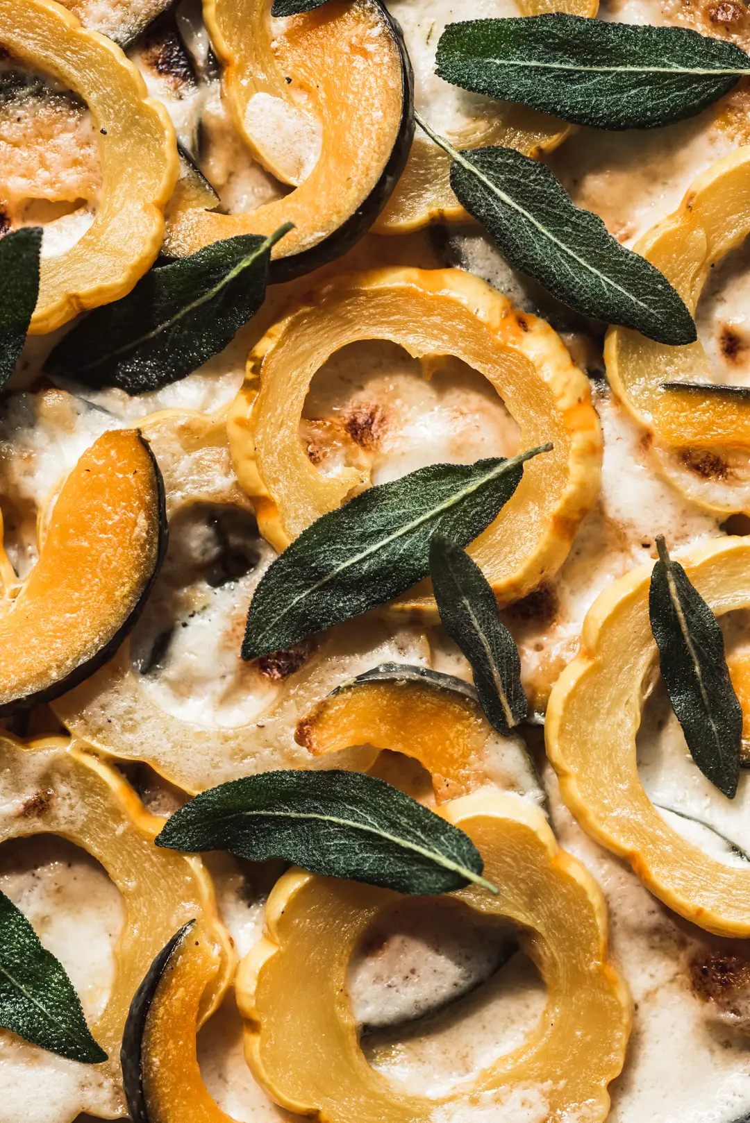 This creamy, cheesy winter squash au gratin topped with crispy sage leaves is a delicious vegetarian main course or side dish to a roast.