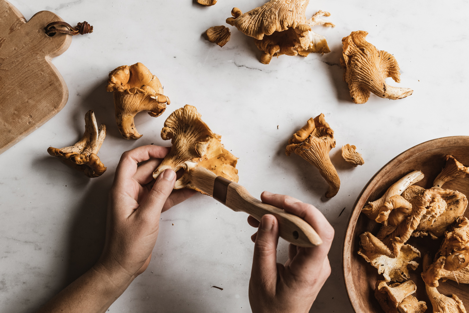 chanterelle mushrooms